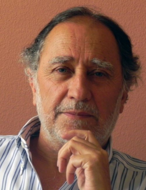 Carlos Arcos Cabrera
